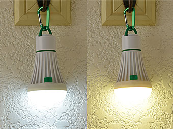 バルブ型ライトの昼白色灯、電球色灯の比較画像