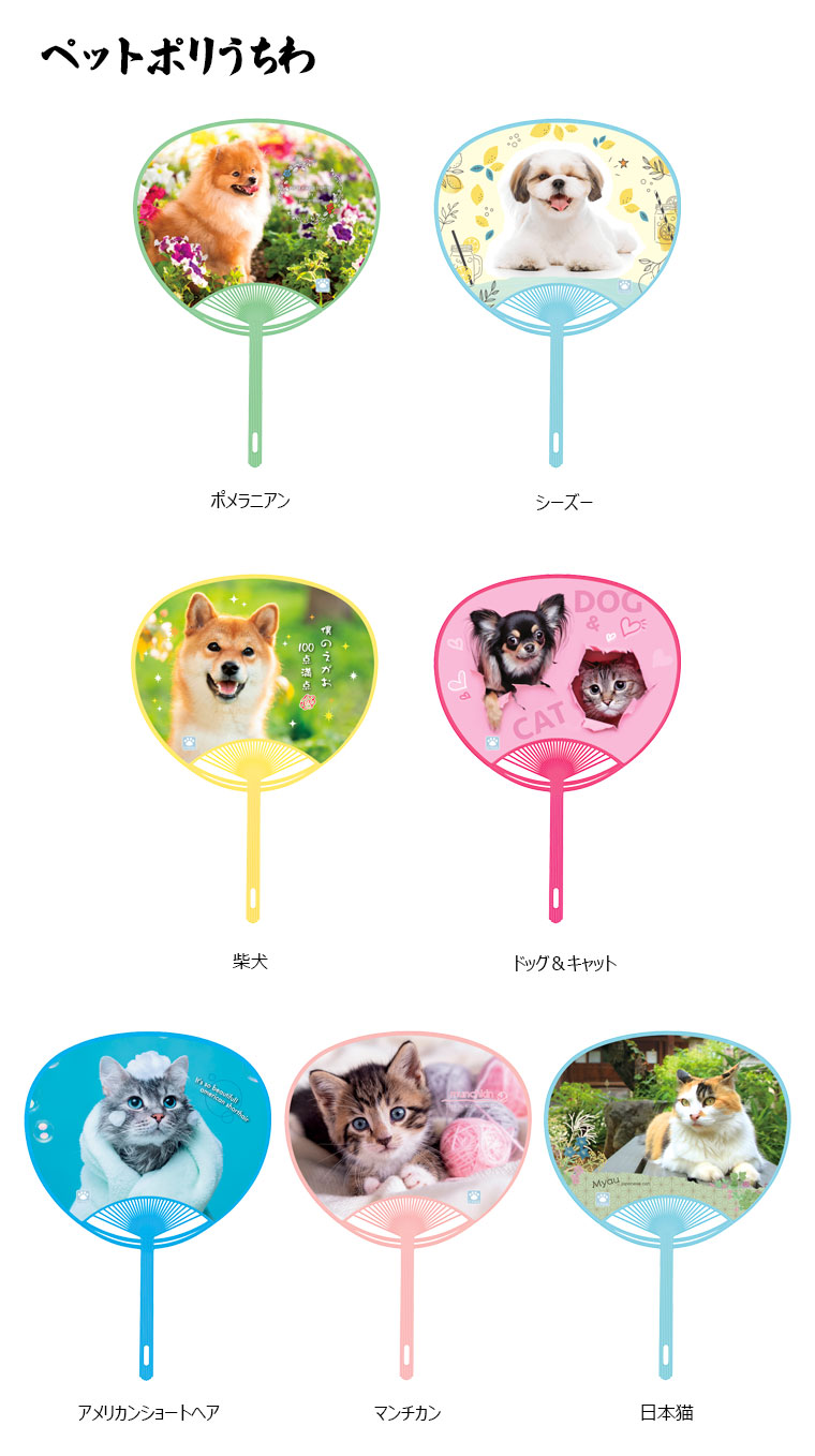 カラーバリエーション