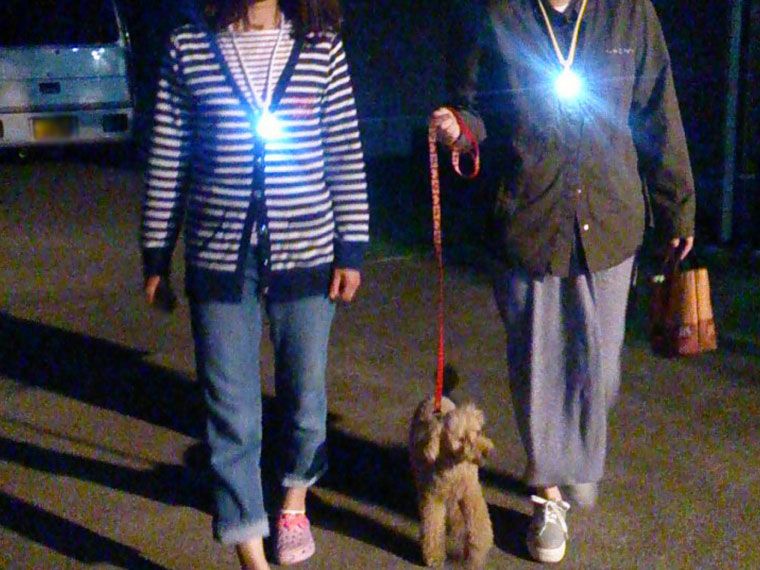 手ぶライトで夜間の犬の散歩