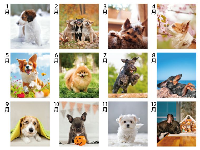 デスクドッグ 卓上カレンダー月別