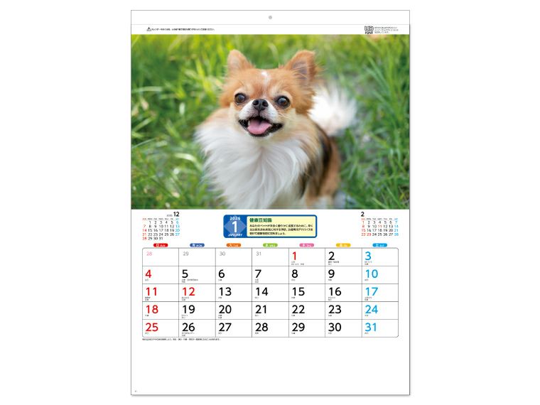 リトルペット 壁掛けカレンダー豆知識付き