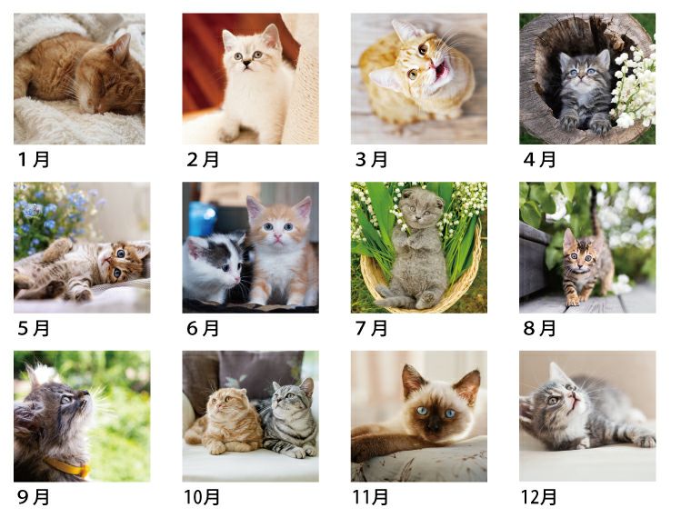 ラブリーキャッツ 壁掛けカレンダー月別