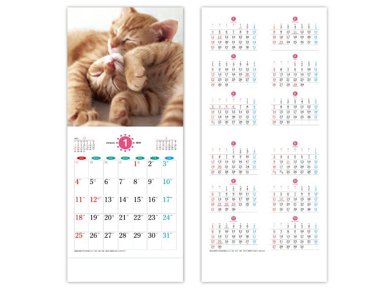 ザキャッツ 壁掛けカレンダー年間