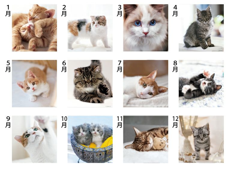 ザキャッツ 壁掛けカレンダー月別