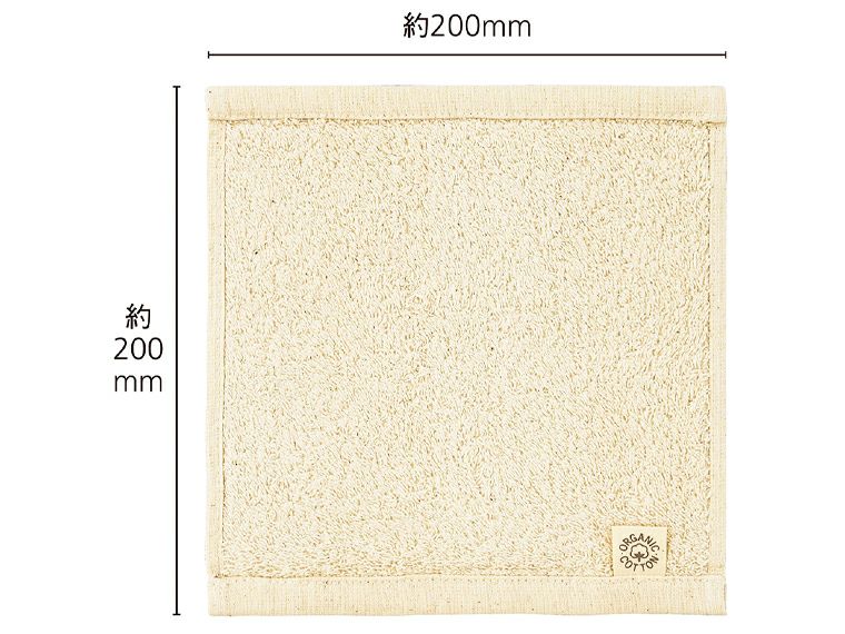 オーガニックコットン プレーンミニタオルのサイズ