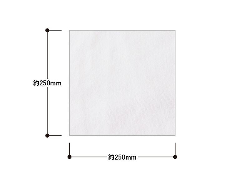 コットンWフェイス　ハンドタオル　ホワイト商品サイズ