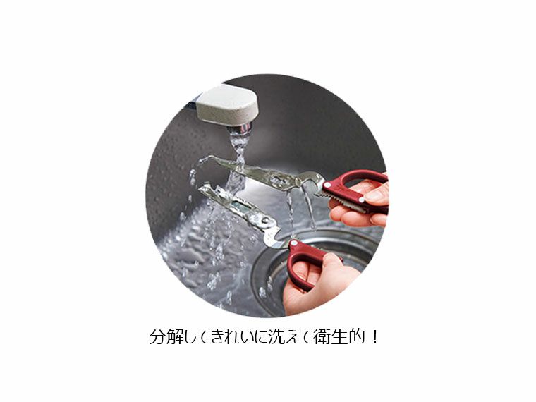 分解して丸洗い