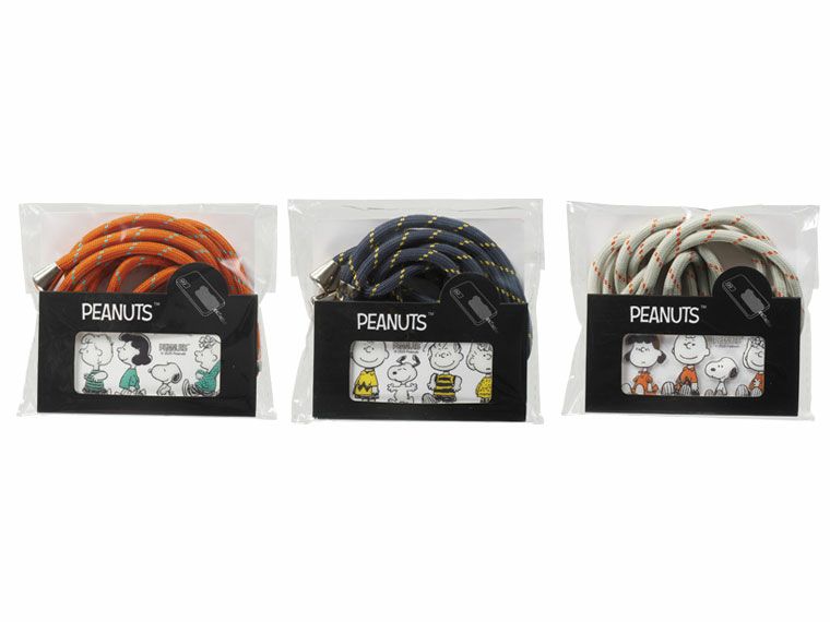 パッケージ入り