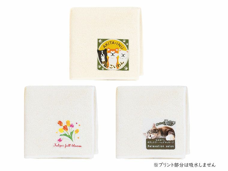 名入れイメージ