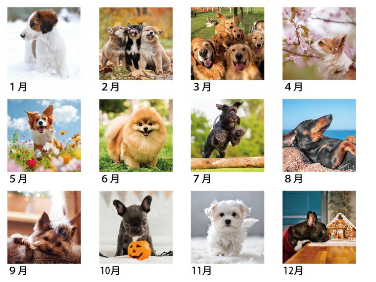 ラブリードッグ 壁掛けカレンダー12ヶ月