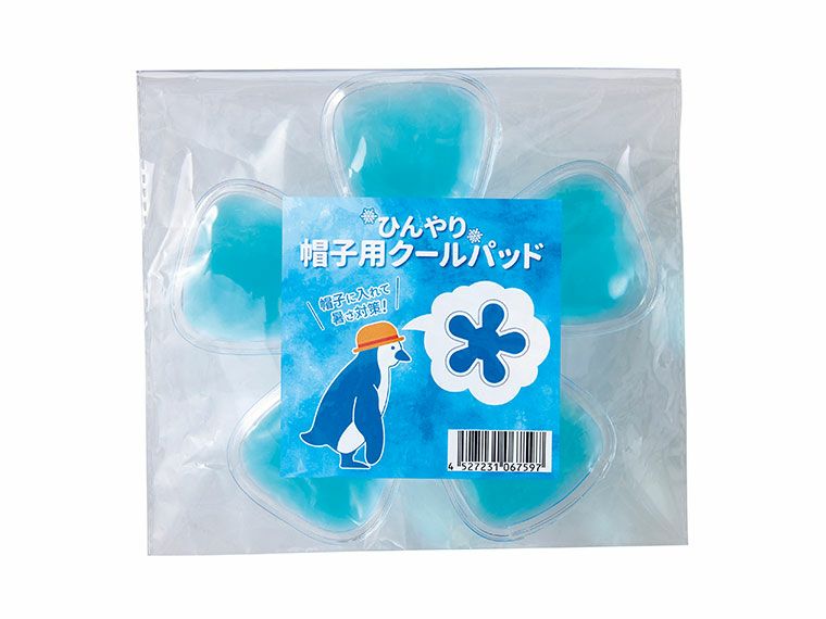 パッケージ入り