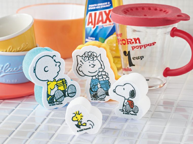 キャラクターライン スポンジセット