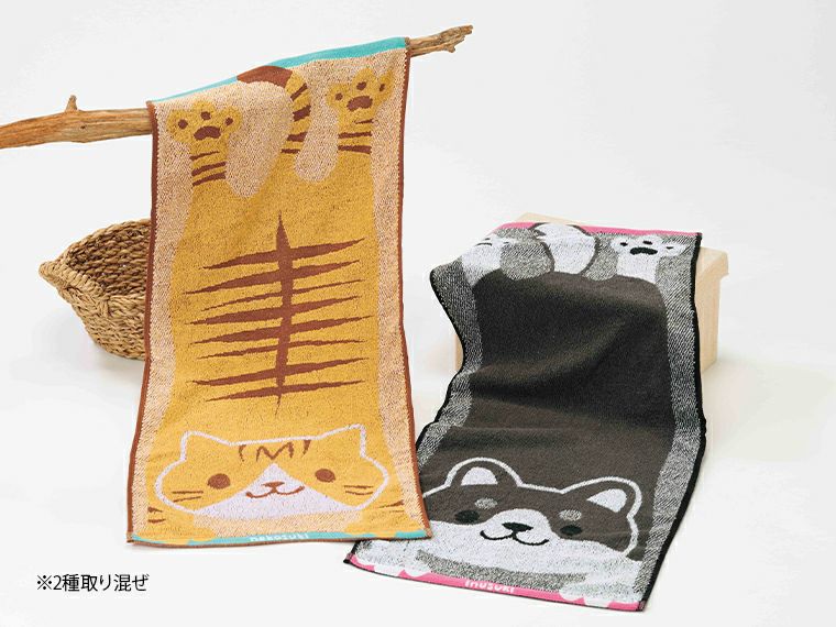 のび豆柴・のびちゃとらフェイスタオル