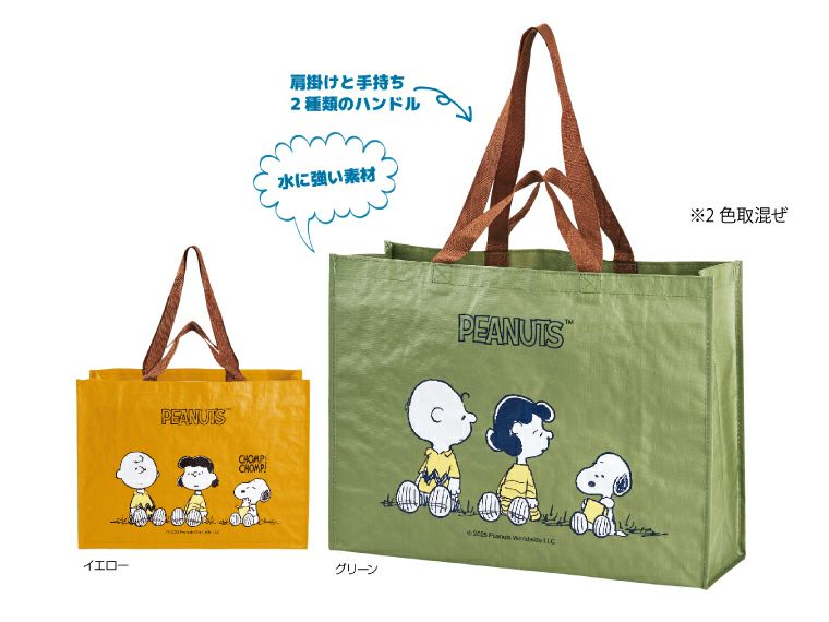 キャラクター　ビッグスクエアバッグ